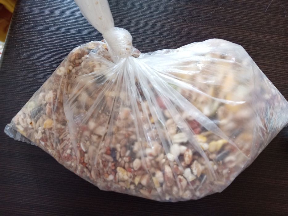 Продаю 2 хомяков вместе с клеткой, и кормом.