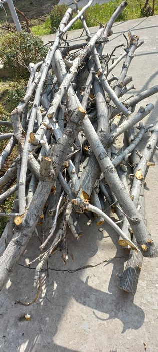 O'tin/  дрова     т