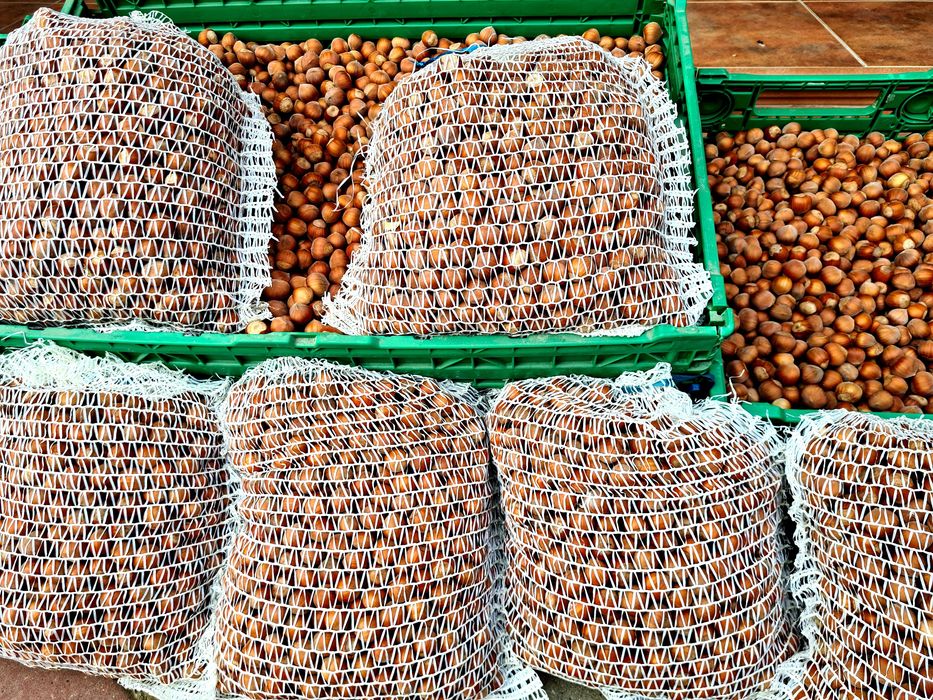 Alune de Padure Bio- Tonda Gentile Delle Langhe / Romana