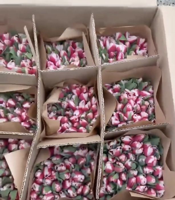 Продам тюльпаны.