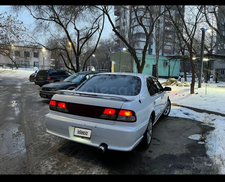 Продам  Лошадь Айгыр Жеребчик Тай