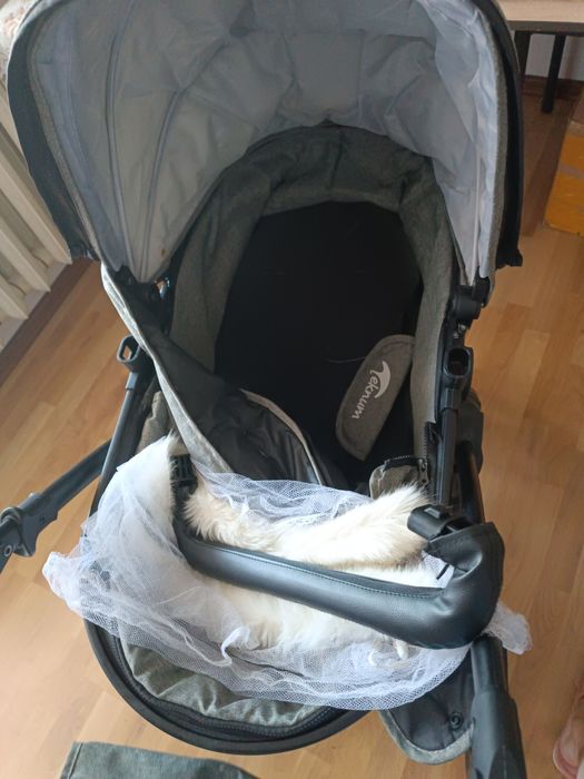 Коляска в хорошем состоянии