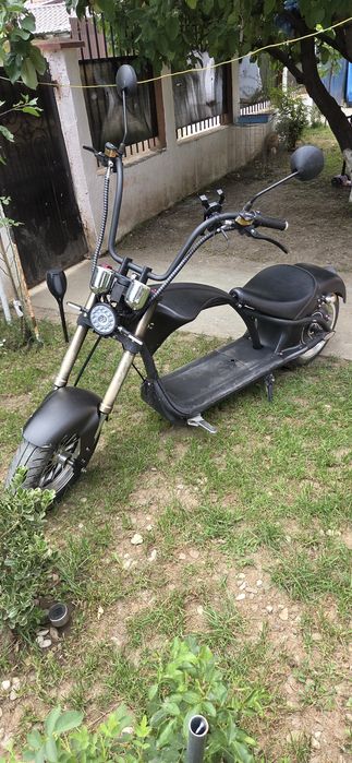 Scuter Electric Chopper Mangosteam