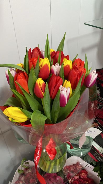 Тюльпаны -Белорусь.крупные высота стебля 60см.