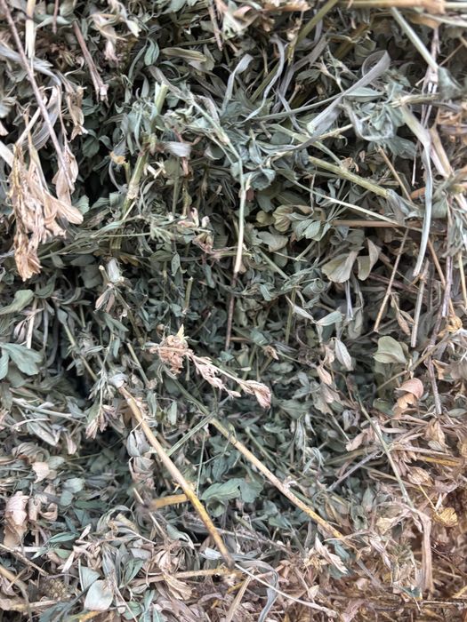 Baloti lucerna  cea mai buna calitate