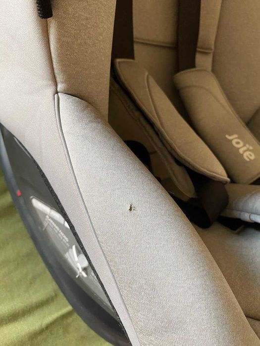 Стол за кола Joie - I-Spin, 360° E, IsoFix, 61-105 cm, 6M - 4Y