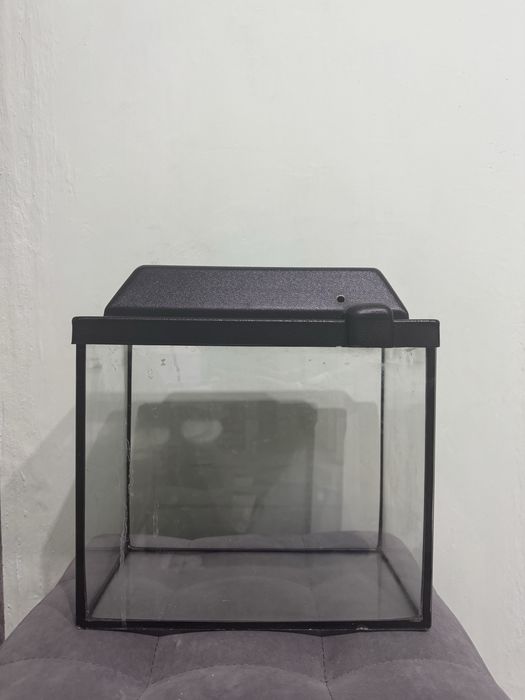 Продажа аквариума