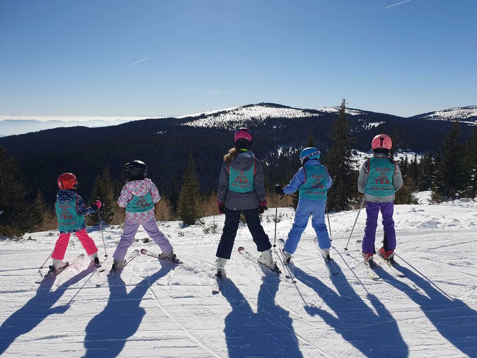 Scoala schi, Scoala ski