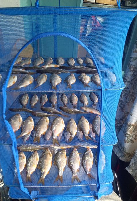 Сушилки для рыбы