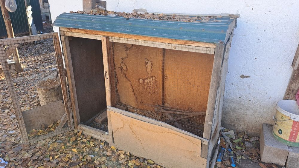 Раковина, домик, витрина