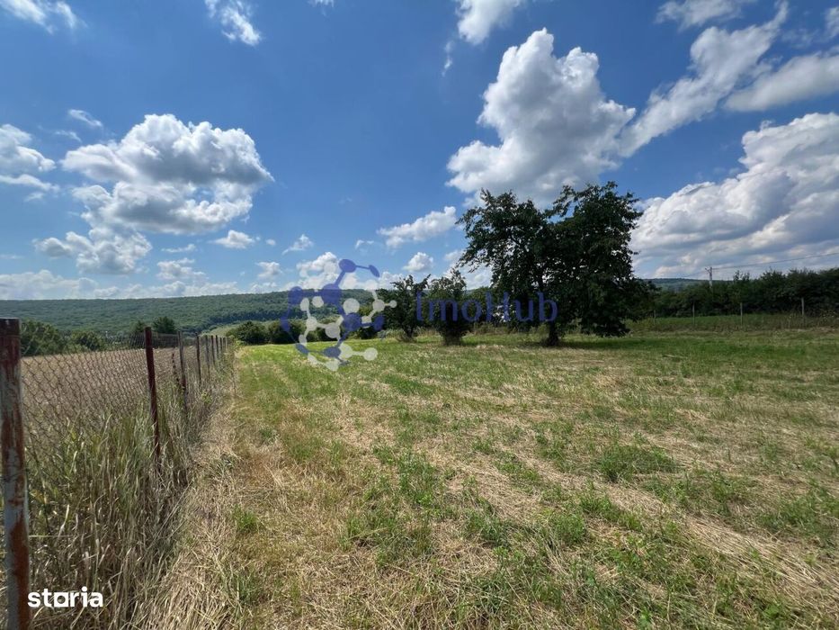Teren de vânzare 2.531 mp Centrul satului Poieni, Priveliste spre