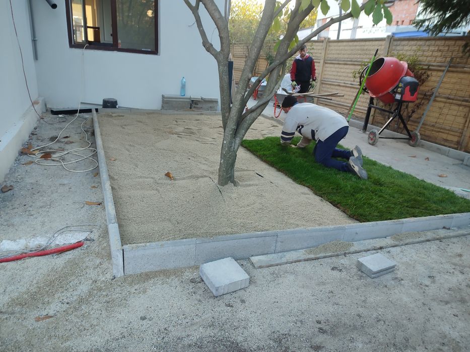 Gazon rulou 24 de lei m2. Transport și montaj inclus.Tuia zmarald .