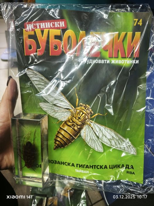 Списание Истински буболечки