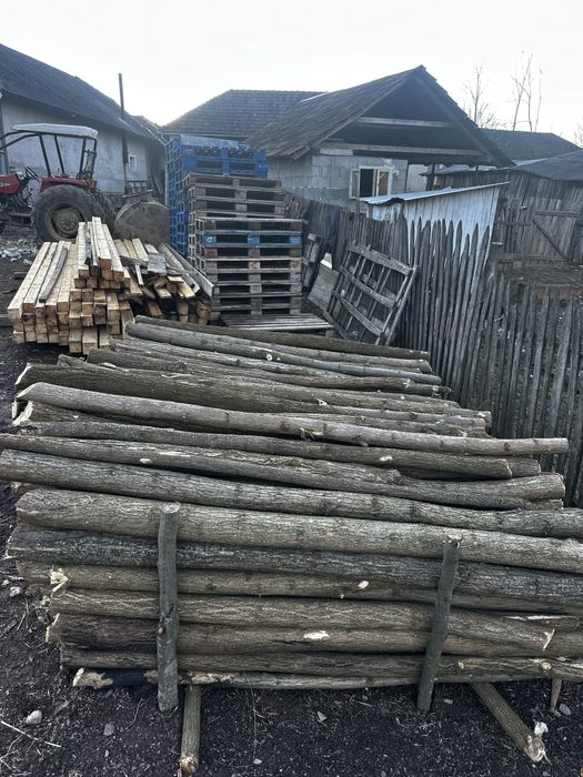 Vând parii de salcâm