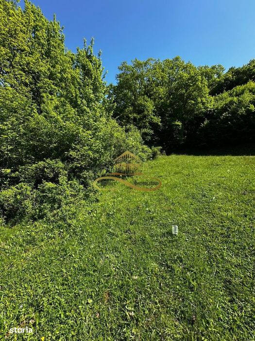 Teren intravilan de vanzare 1439 mp Luncani strada Slatinei - Bacau