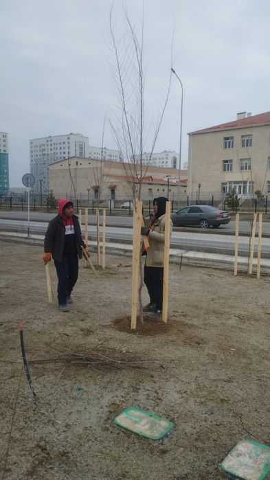 Деревянный Опора