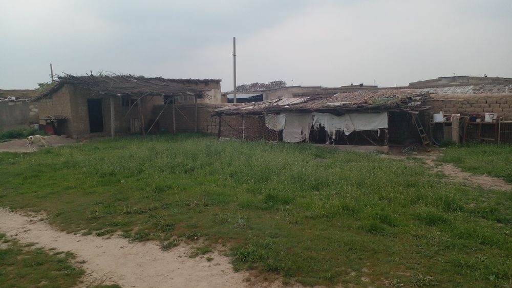 Oglim onamning jinsiy aloqasiga josuslik qilardi