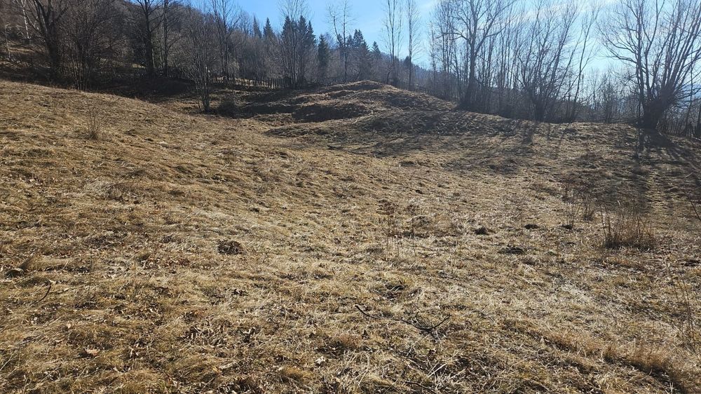 Teren Valea Doftanei