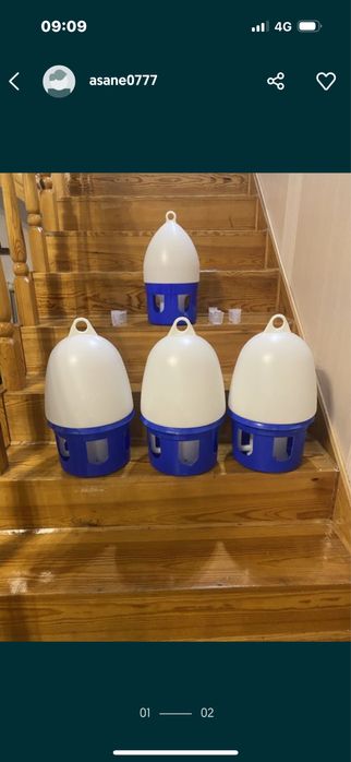 Все Гнезда для Голубей