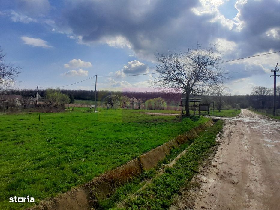 De Vanzare Teren 3400 Mp In Sat Podu Ilfovat / Com Buturugeni (Gr)