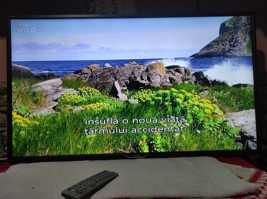 Smart tv Sharp 102 cm