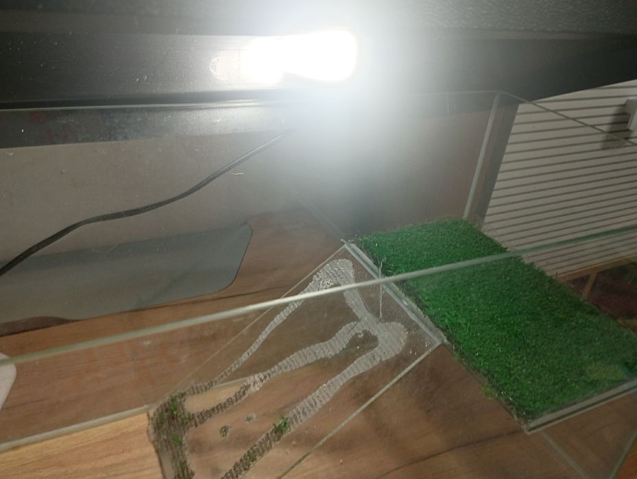 Аквариум для черипахи