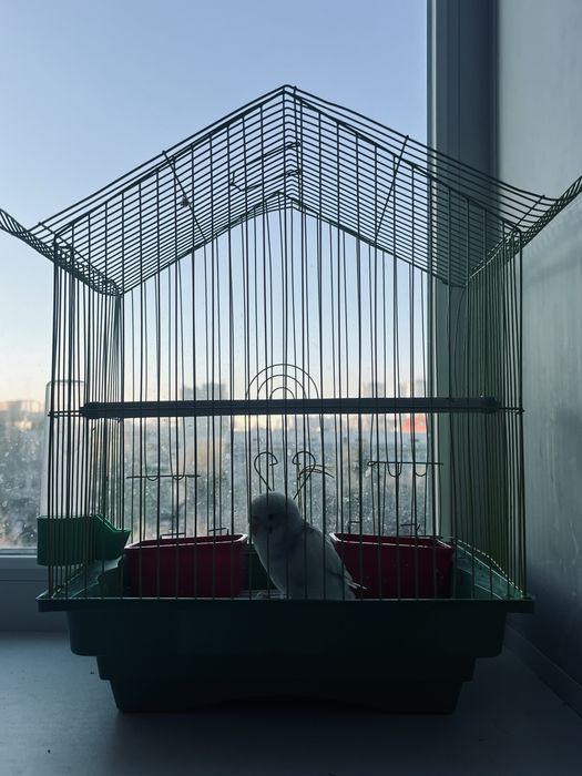 Клетка для попугая