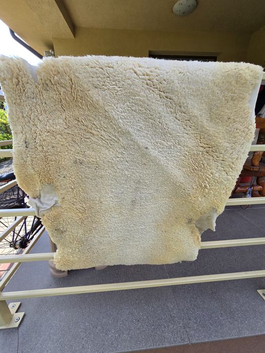 Piei de oaie și miel