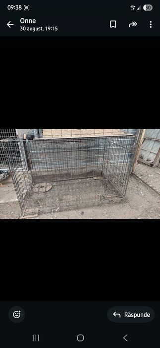 Cusca animale pasari