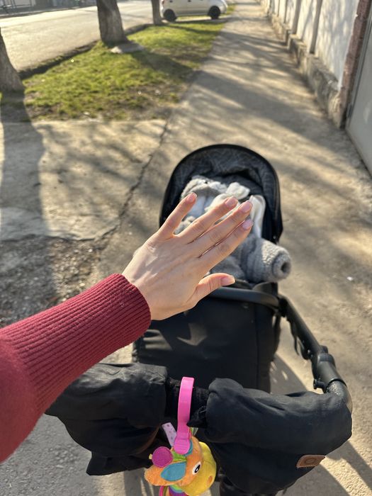 Коляска Anex Am type 2 В 1