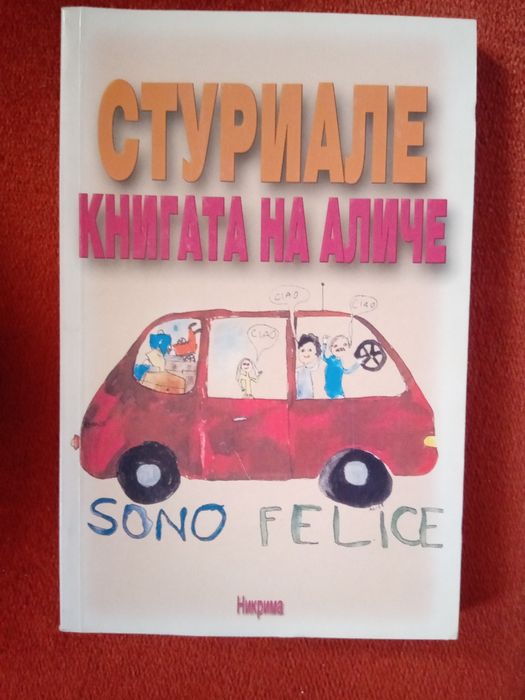 Книга-Силата да се радваш на живота и на инвалидна количка