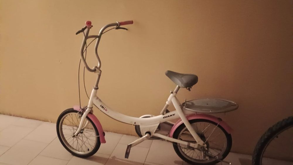 Два великих. На ходу