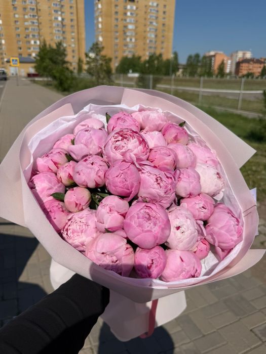 Цветы Астана Пионы
