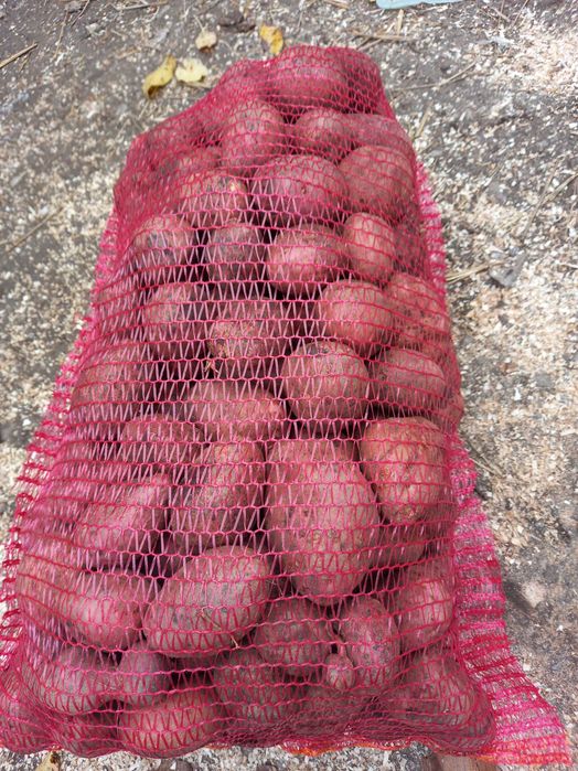 Vand cartofi rosu si alb