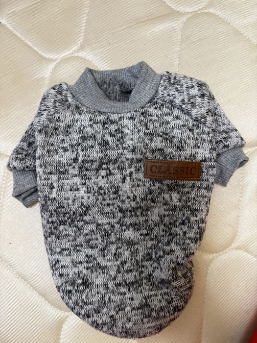 Одежда для собак