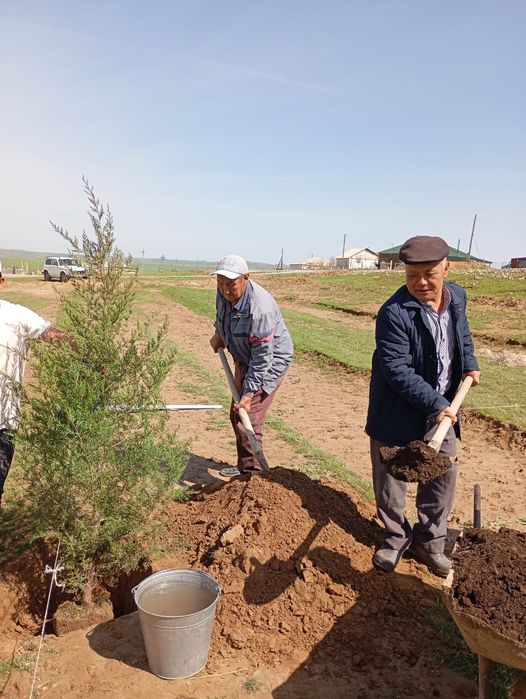 Биогумыс Тыңайтқыш