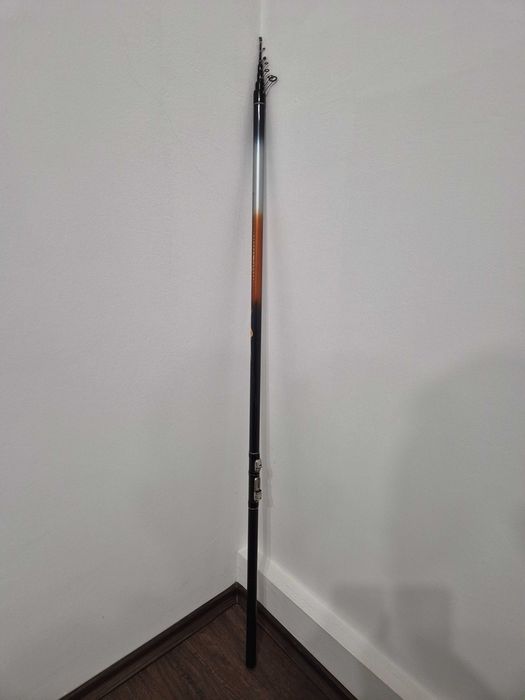 Болонез Tica Signal