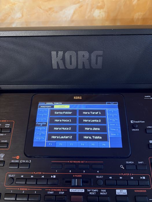 Korg pa4x+stativ+boxa pentru orga+husa!