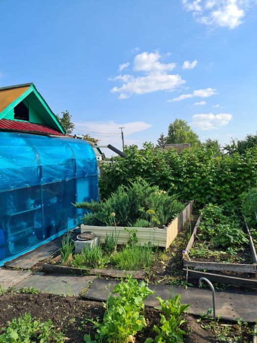 Продам дачу в дачном обществе Ромашка