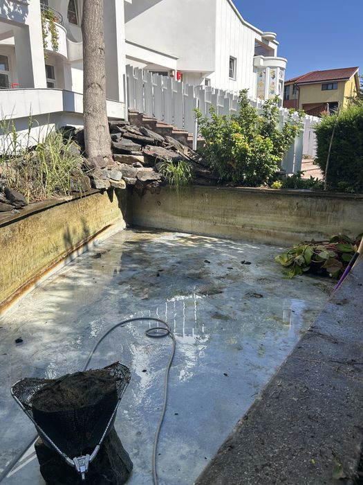 Amenajare, mentenanta acvarii si iazuri