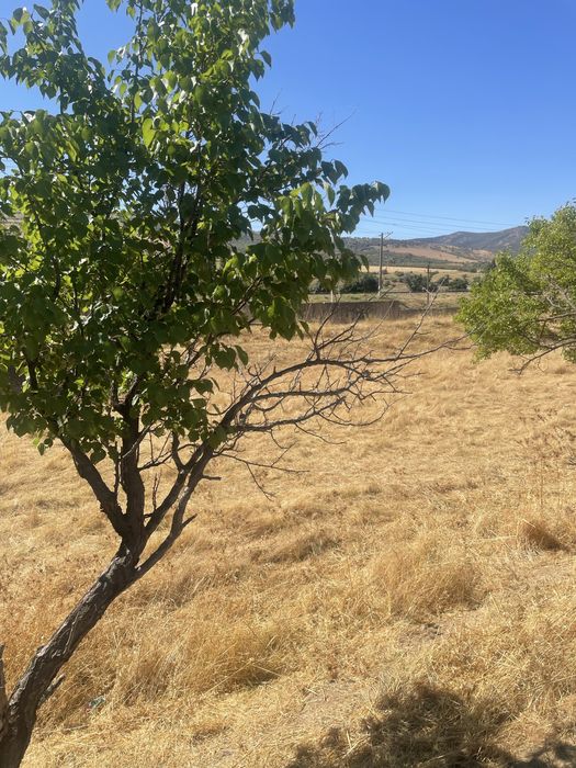 Yer sotiladi 6 sotix Bostonliq tumani