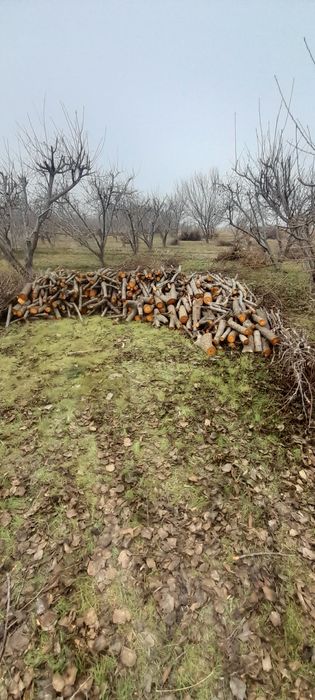 Утин сотилади кесиб куйилган таёр