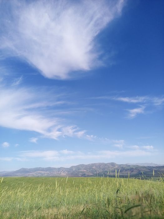 See Crvgbjnjbhvfcfcgbhb