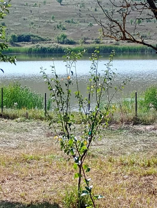 Casă la lac în Câmpenești, cu 800 mp teren