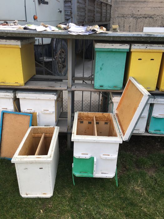 Улики для пчел!!