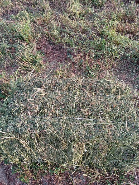 Beda pres 130 dona toza 2 orim 3 orim toza  dastafka ichida