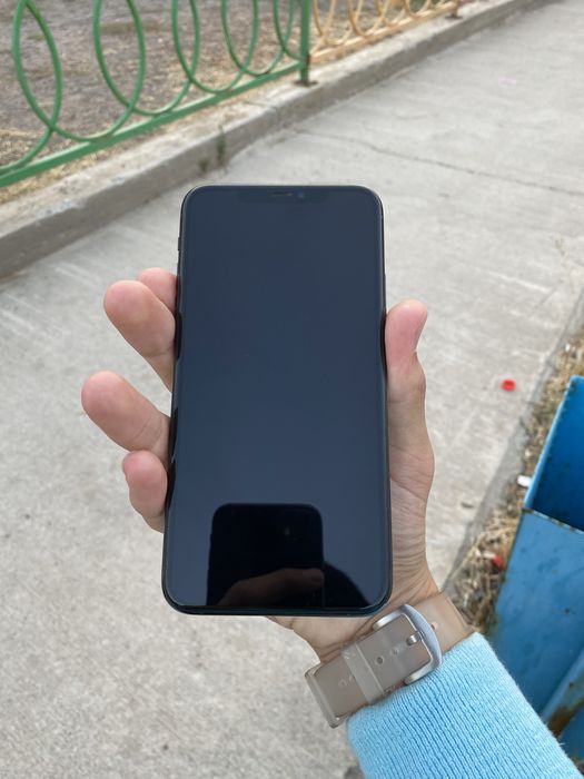 11 про мах 256