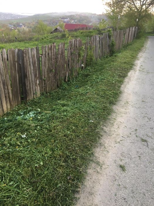 Teren intravilan, com.Ciurea, jud.Iasi, 2725mp la 20 euro mp