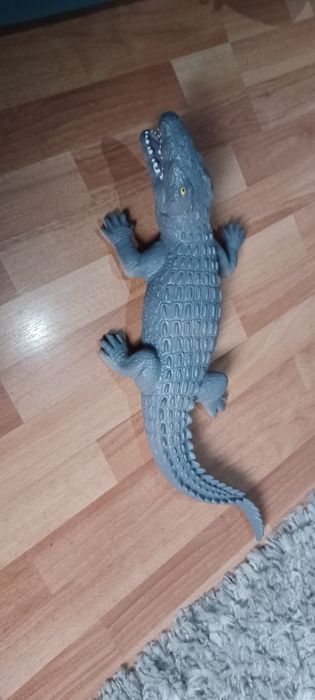 Crocodil/Aligator