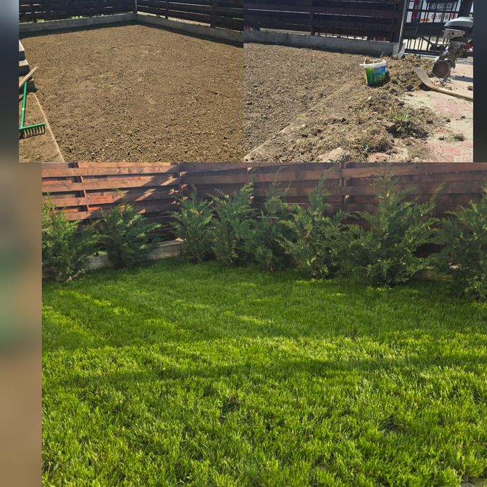 Ofer servicii de curățare și întreținere terenuri,curții.